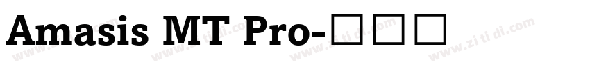 Amasis MT Pro字体转换